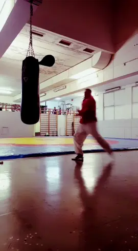 #karate #boxe #traninng #mma #usa🇺🇸 #ukraina #taekwondo #pungiball #груша #italia #mcgregor #mmafighter #UFC #tunisia #lotta #emelianenko #Fitness 
