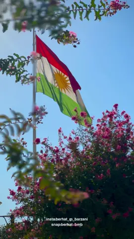 kurdistan ashq d dl da🤍🫶🏻#fyp #berhatmbarzani #barzani👑 #mzuri #mziri #sherwani #edlbi #soran #kurdistan #gardi #harki🦁 #kurdistan🇹🇯️ 