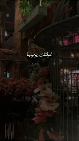 عندك حد يمنشنلك؟ شوفتك يوميها ويباي عليها بدون موسيقي #شوفتك_يوميها_ويباي_عليها  #بدون_موسيقي #تصميم_فيديوهات🎶🎤🎬 #تصميمي #fy #fypp #اكسبلورexplore #اكسبلور 
