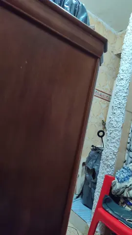 #حميدة_العالمية #tendance #hmida #chelaf #lacoste🐊 #tipaza #3alamiya 