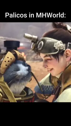 #monsterhunter #monsterhunterwilds #monsterhunterworld @Monster Hunter Fandom 