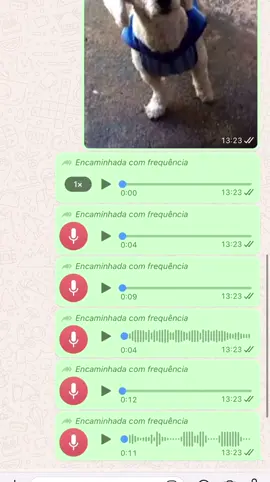 o trem ta feio pro pitucho 😂😂😂#audiosengraçados #audiodowhatsapp #videos #memes 