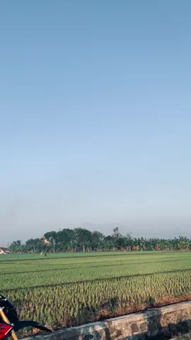 Asupan pagi🌤️🤩 #crf #crf150l #foryou #fypシ #xyzbca 
