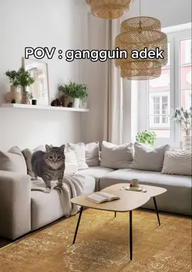 HUAHAHAHAHA 😼😼  #kucingmeme🗿👍 #kucing #meme #memekucing #kucingmeme #cat 