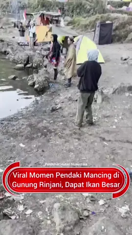 #penikmathutannusantara