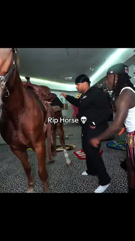 The Horse might be cooked 😭🙏🏾#kaicenat#kai#fanum#fyp @Kai Cenat @Fanum 