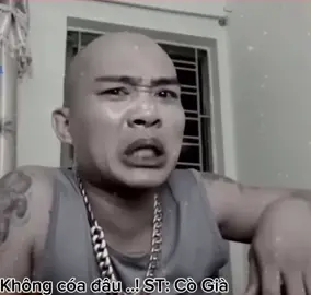 Không cóa đâu. ! #longdaubac #cògià #hứathànhlong #ngulongbang #tienbipsonglong #longtocdai #tienbry #xuhuong 