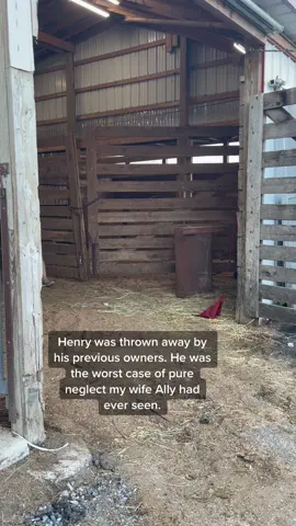 The incredibly true story of one unwanted senior pony and the amazing team who partnered together to rehabilitate him!