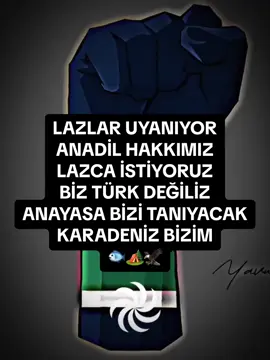 LAZCA DİL EĞİTİM HAKKI VE ANAYASADA TÜRK OLARAK GEÇMEK İSTEMİYORUZ. 🦅 #beniöneçıkart #fyp #keşfet #keşfetteyiz #fypシ #Bayram #gurbet #türkiye #kesfet #keşfetbeniöneçıkar 