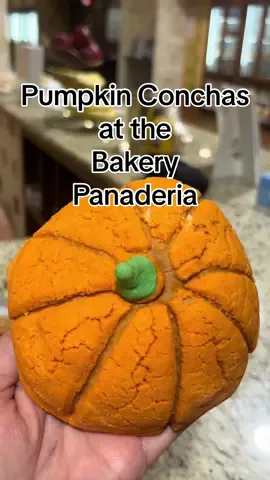 We had to stop at the panaderia 👩🏻‍🍳to get some cute pumpkin themed conchas! #bakery #pumpkin #pumpkinseason #autumnvibes #fallvibes #htx #autumn 