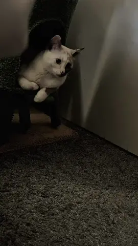 #CapCut #Berry_love #مشاهير_تيك_توك #اكسبلورexplore #foryoupage #foryou #viralvideo #لايك_فولو_مردوده #شباب_وصبايا_دعمكم_بليز_تابعوني #تابعوني_تيك_توك_فدوة #تابعوني_فضلا❤ #تابعوني_انشر_مقاطع_حلوة #اكسبلور #متابعيني_احبكم