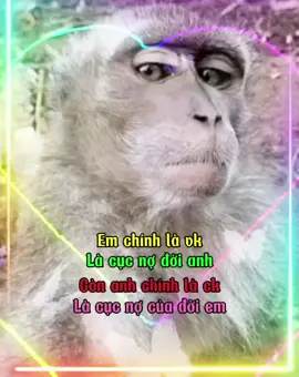 e chính là vk, là cục nợ đời ah #xh #giuchuoitinhban #xh #xh #xh #xh #xh #xh #xh 