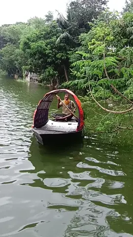 এই জগতে আমি কারো মনের মত নয়