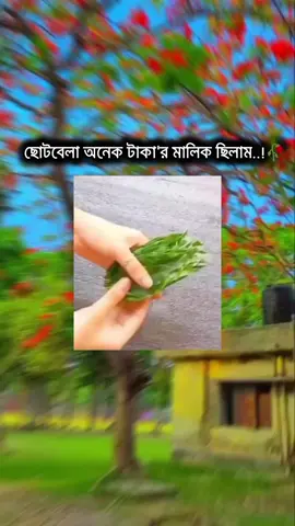 ছোটবেলা অনেক টাকা'র মালিক ছিলাম 😊🥀#tik #trend #foryou #fypage #foryoupage 