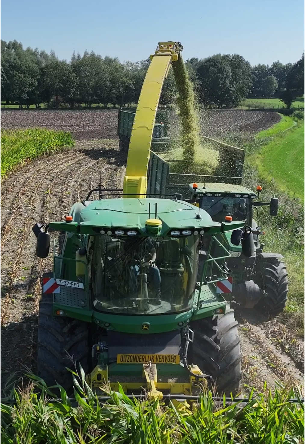 Mais 2024🌽 John Deere 9500i + John Deere 7710💚 Full video on YouTube #mais #maissilage #johndeere #johndeere9500i #johndeere7710 #agri #agriculture #landtechnik #landtechnik #agrar #satisfying #viral #fyp #mais2024 #puresound 
