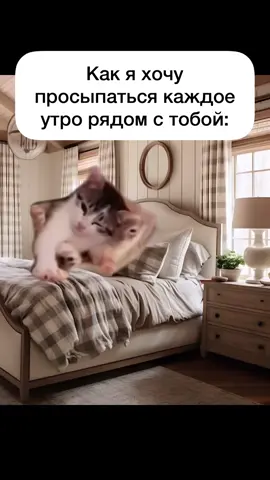 Как я хочу просыпаться каждое утро рядом с тобой) #отношения #любовь #свидание #ищупару #отношения_в_паре #парень #девушка #юмор #котики #милота #прикол #жиза