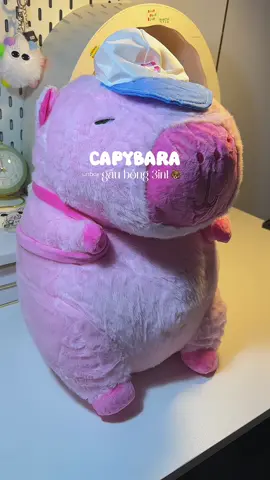 Đem bé này trên xe dìa lquơ” là gọn ơ><#ANIVIHOME#capybarakemchan#capybara#gaubong#hellodituyet #diyereview #xhtiktok #cute#xh #unboxing 