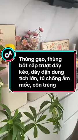 Thùng gạo thùng bột nắp trượt đẩy kéo, dày dặn, dung tích lớn, tủ chống ẩm mốc, côn trùng #thunggao #giadungtienich #giadungtienloi #giadungthongminh #xuhuong