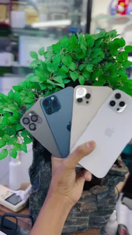 i phone 12 pro max🔥🇬🇧🇺🇸All Colour Available to Dream World🔥#foryou #foryoupage #dreamworld 