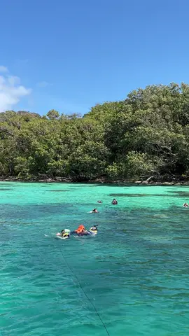 Kuy liburan open trip ke PULAU PEUCANG UJUNG KULON..  Setiap weekend dan weekday berangkat Meeting point jakarta tangerang serang pandeglang & pelabuhan sumur Cek profil WA 082246260094 IG: visit_ujungkulon #pulaupeucang #ujungkulon #pandeglang #banten #karangcopong #cidaonujungkukon #pulau #opentrip #privatetrip #liburanmurah