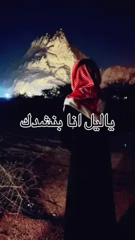 #CapCut #ياليل_ابنشدك_عن_واحدا_غالي 