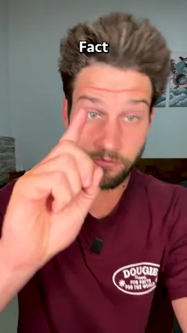 In 1995, a man snuck into the back of the Duffy’s Circus facility in Galway Ireland with the intention to pet the tigers. #tiger #circus #ireland #irelandtiktok #interestingfacts #interestingfactsforyou #interestingfactshub #amazingfacts #amazingfactsforyou #amazingfactsministries #coolfacts #coolfactsforu #coolfactsyoudidntknow #coolfactz #randomfactstiktok #randomfacts #facts #factsdaily #factsoftiktok #factsoftheday