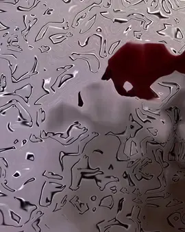 𝐑-!!😭🫶🏻#foryou #unfreezemyacount #fpyシ 