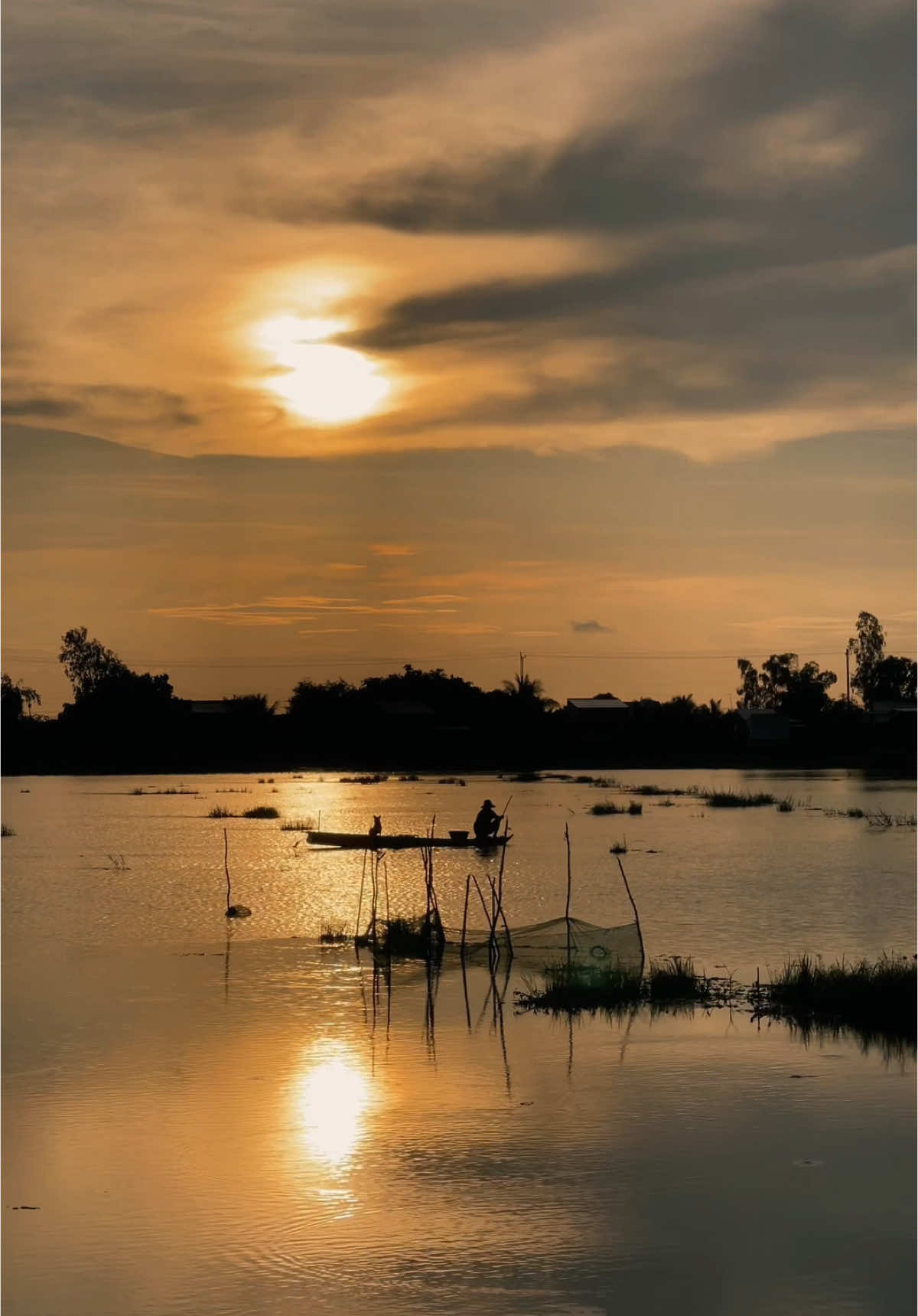 Khung cảnh này, nó cứ sống mãi trong ký ức của những người con miền Tây #kietdongque #mientay #muanuocnoi #quenha #thapmuoi 