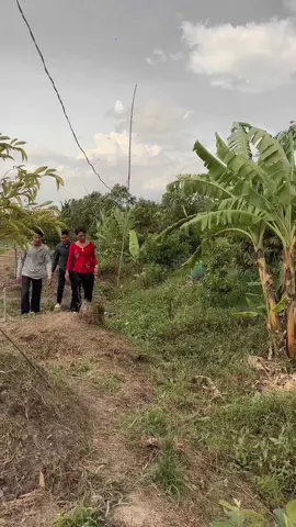 Những ngày giông bão #tuncuibap2 #tunthitrewiu #tuncuibapshop 