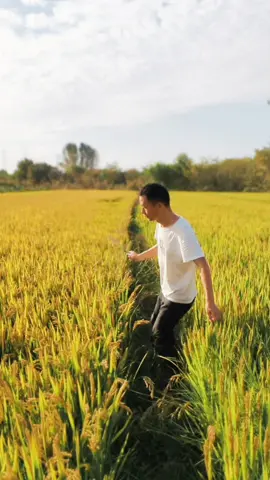 Gợi ý: tạo dáng chụp hình đẹp mùa thu vàng #selfie #tapchupanhdep #chupanh #gayselfies #chuphinhdep #xuhuong #taptanhchupanh 