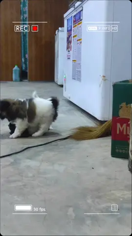 #cutebaby #mybaby 💙💙