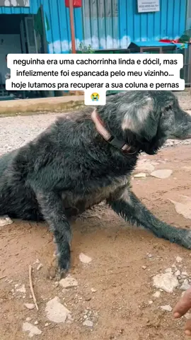 melhoras neguinha 🙏🏾#doglover #caoamigo #dogsoftiktok #PetsOfTikTok #resgateanimal #pet #ajuda 