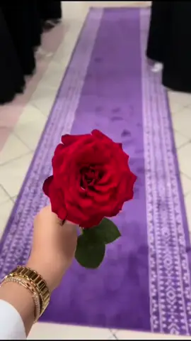 #يوم العظماء وصُناع كل المهن ♥️🫶🏻احتفالنا البسيط بمعلماتنا الفاضلات كان بعنوان ابتسمي للحياة فانت معلمه ♥️♥️اليوم العالمي للمعلم رسول العلم شكرا” 2024🇸🇦#🇸🇦اكسبلورexplore❥🕊 #تصويري #اكسبلورexplore❥🕊🦋💚❤♥️👌back  @استديو تنفيذ شيلات زفات بالاسم 