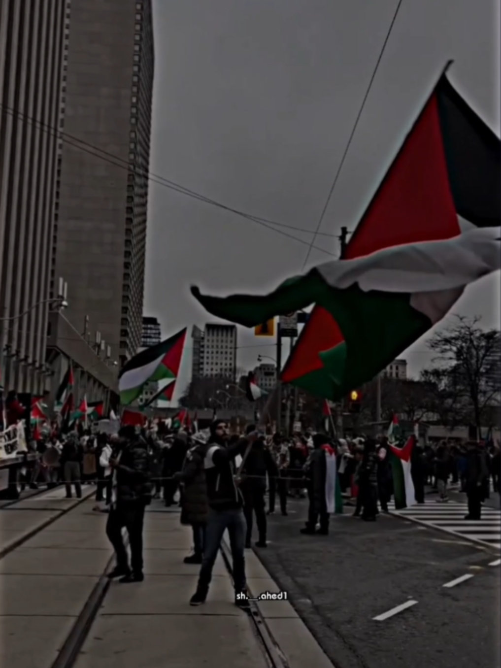 #ذكرى_7_اكتوبر #فلسطنية_ومجننه_البشرية🇵🇸✌🏻 