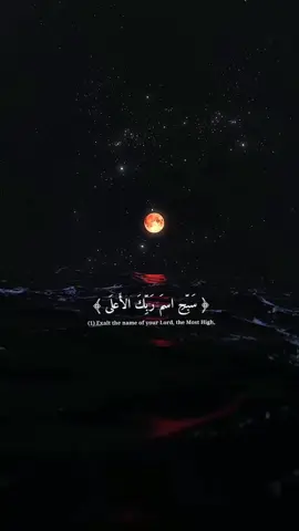 سبح اسم ربك الاعلى القارئ عبدالرحمن مسعد #عبدالرحمن_مسعد #قرآن #صدقة_جارية 