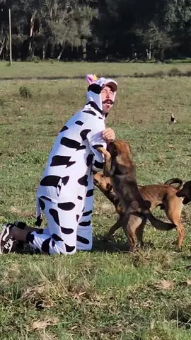 oachei algo bizarro em antiga fazendo #detectordemetais #fazendaantiga #tesourosencontrados 