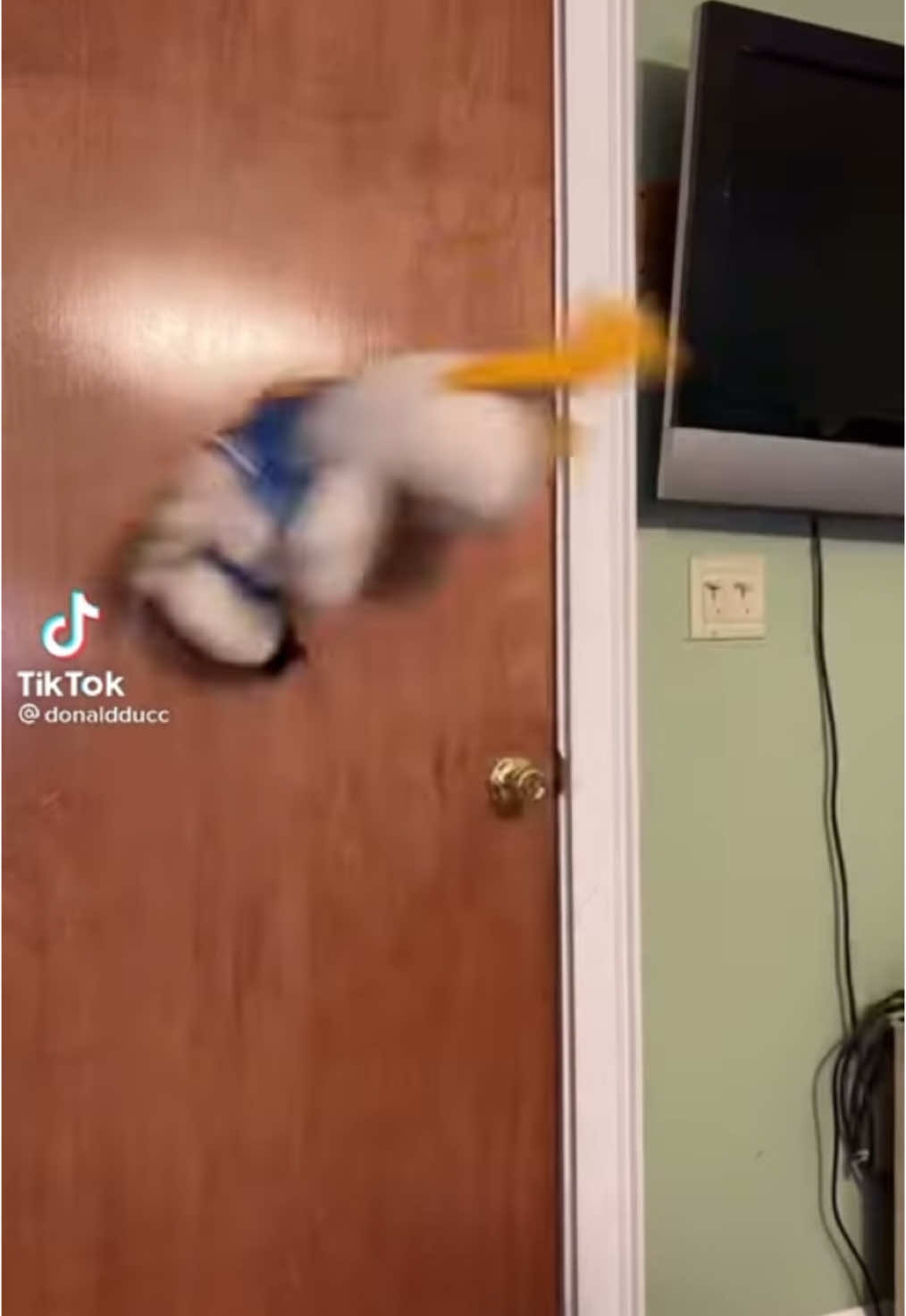 Donaldducc: Donald Gets hit! (Reuploaded)