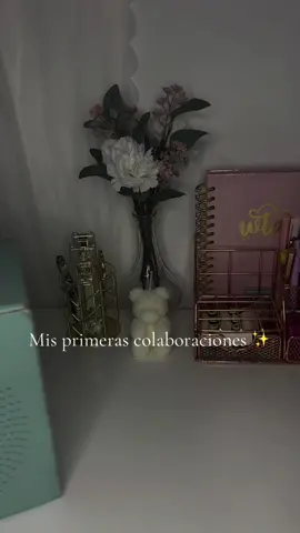 Mis primeras colaboraciones como creadora de contendio 🥹✨ ¿ Quieren ver que me llego ? 👀 Thansk to @Viori Beauty & @jolieskinco  #creadoresdecontenido #creadoresugc #skincare #haircareproducts #fypシ゚viral🖤tiktok 