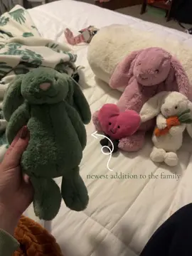you could say i like jellycats… #foryoupage #fyp #foryou #fypシ #jellycatbunny @Jellycat 