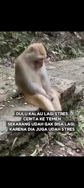 🥹😭 #storytime #status #stress #StressRelief #foryourpage #foryoupage❤️❤️ #fypシ゚viral #fypage #fyppppppppppppppppppppppp #fypdongggggggg 
