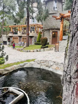 #cuenca #naturevibes #naturelover #cajasnationalpark #amazing #enjoylife #videoviral #traveltiktok #travellife #travelinspiration #spotslover #green #ecuador🇪🇨 #nicepicture 