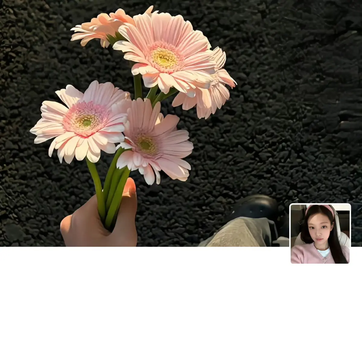 #hìnhnềnđiệnthoại #wallpaper #zoey #xuhuongtiktok #xuhuong 
