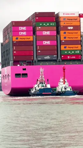 Tàu ONE dài 399m hơn 24k teus cập cảng 4 tàu lai dắt hỗ trợ có được lọt top tàu container to nhất thới giới chưa nhỉ #anhemsalan #salancontainner #xuhuong #xuhuongtiktok #ONE 