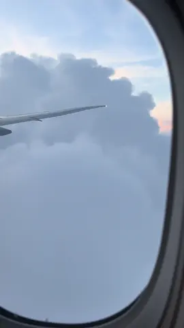 #fyp #explore 😮‍💨