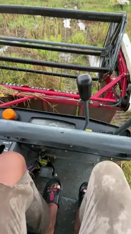 #combineharvester #bimo102 #maxxibimocombine #opratormuda #maxxibimo102 #petaniindonesia🇮🇩🇮🇩🇮🇩🌿🌿 