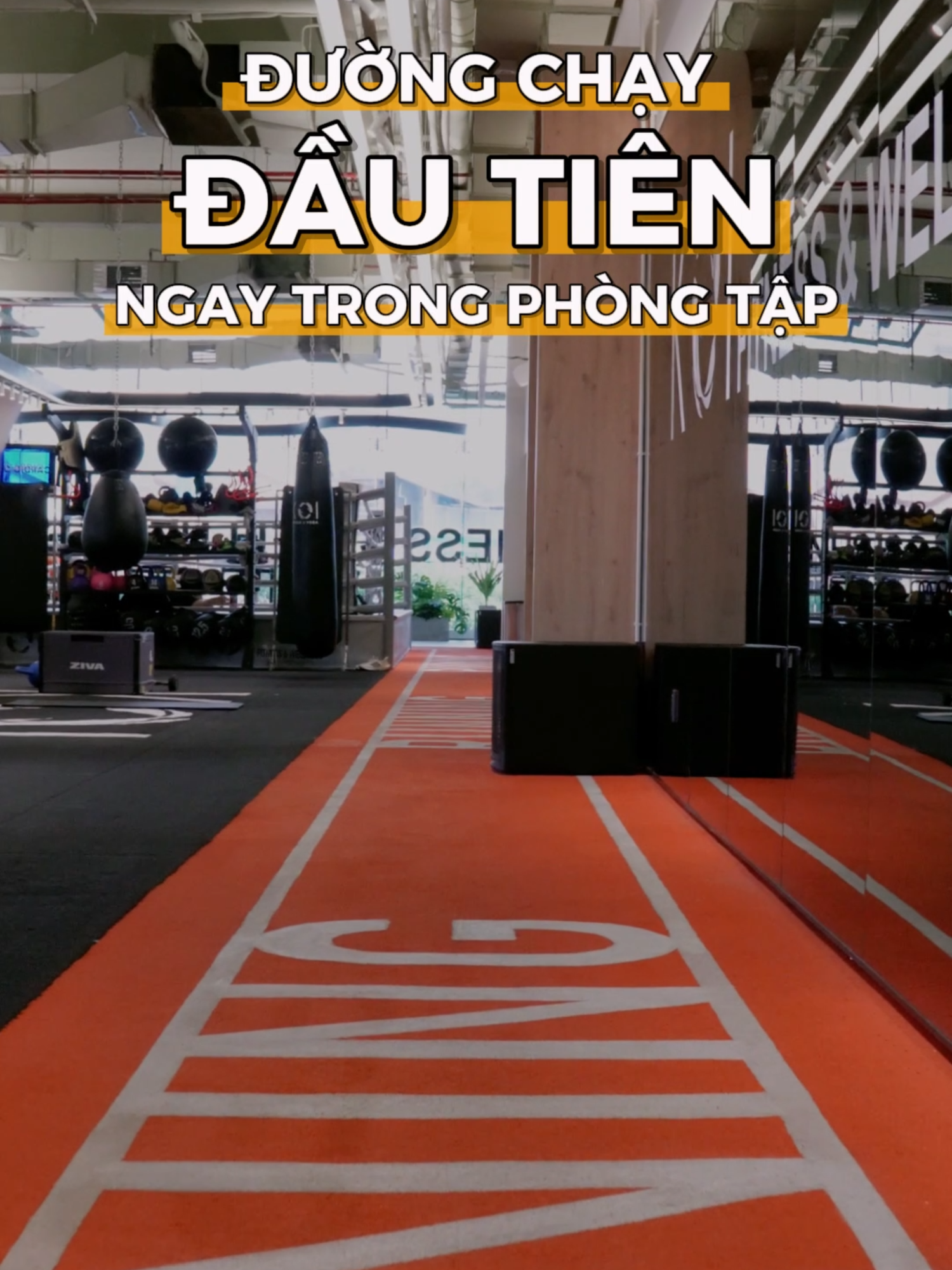Trải nghiệm đường chạy tiêu chuẩn - lần đầu tiên có mặt trong phòng tập #koifitness #koifitnessandwellness #Running #pitlane #gym