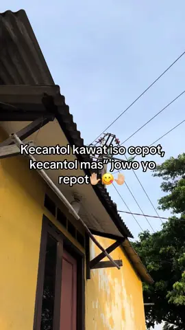 Dong pora cah🤭#fypシ゚ #masjawa 