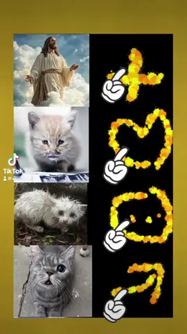 #cat