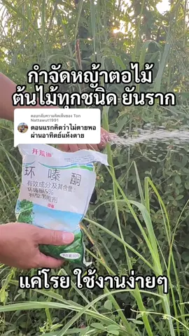ตอบกลับ @Ton Nattawut1991 ใช่เลยคับ กำจัดหญ้าตอไม้ ต้นไม้ทุกชนิด ยันราก @ภัสสร ชาแนล @สวน สาระดี 