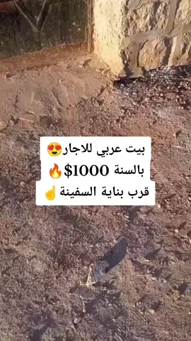 #بيت عربي للاجار غرفتين ومنافع مع كراج سيارة اجاره 1000$ بالسنة أو 6اشهر 600 وتأمين 50$ الموقع الدانا شمالي بناية السفينة🟡  #شركة_الدانا_للإستثمار_العقاري🛑 #بيع #وشراء #العقارات #باسرع_وقت #اكسبلورexplore #تيك_توك #اكسبلور #tiktokindia #fyp #foryoupage #الشعب_الصيني_ماله_حل😂😂 